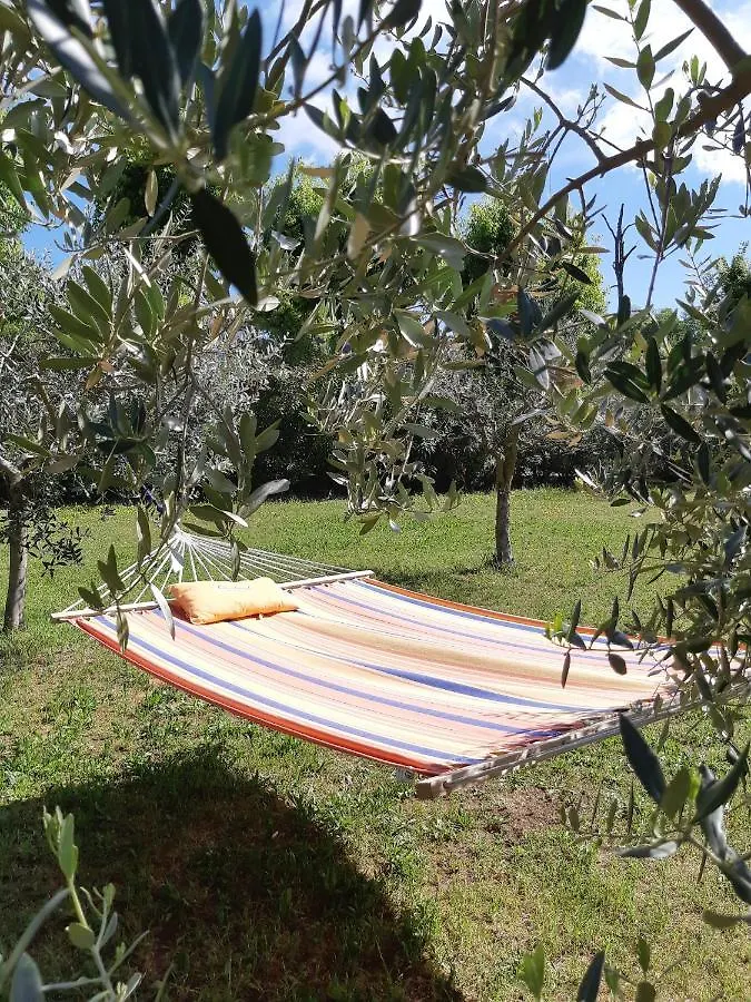 Villa Pace, Luminosità e comodità a due passi dal Garda Volta Mantovana