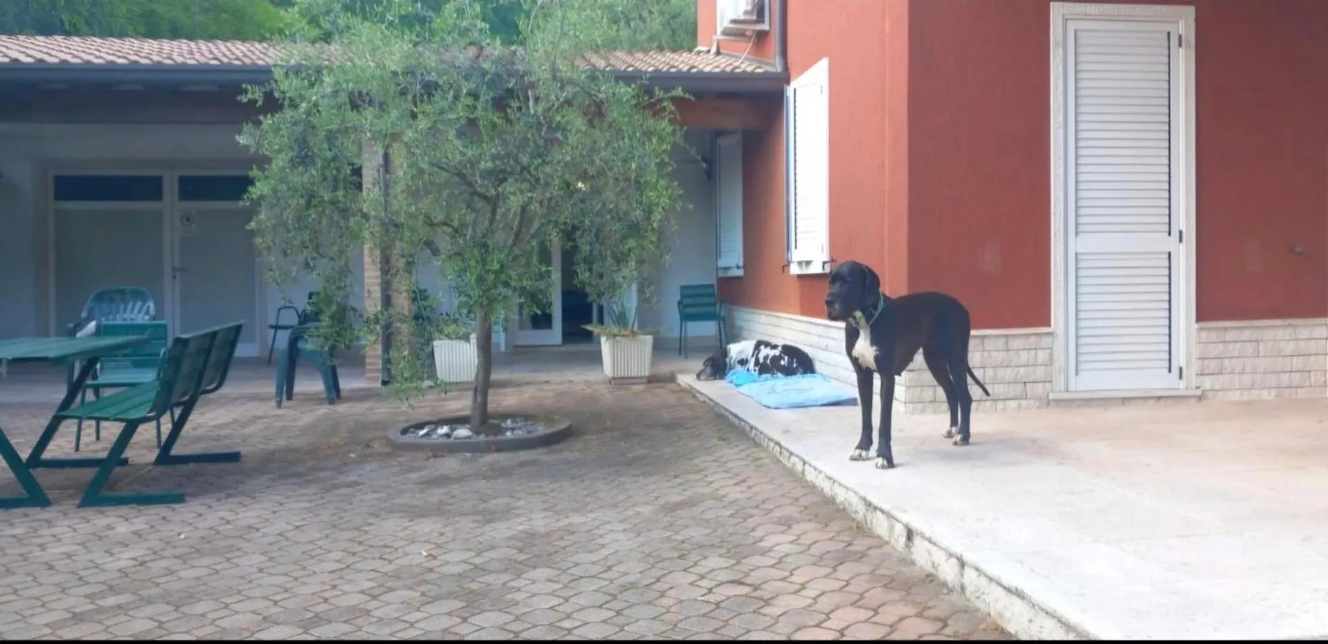 Pace, Luminosità e comodità a due passi dal Garda Volta Mantovana Villa